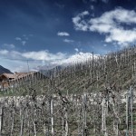 Suedtirol